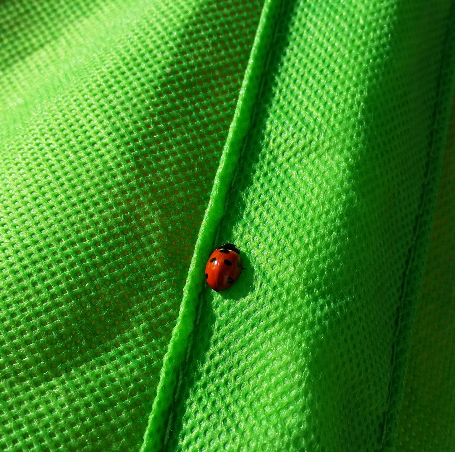 Eco